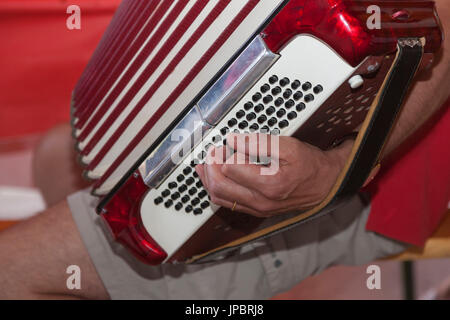 L'Europa, Italia, Veneto, Belluno. Primo piano dettaglio di un uomo la riproduzione di un rosso strumento della fisarmonica Foto Stock