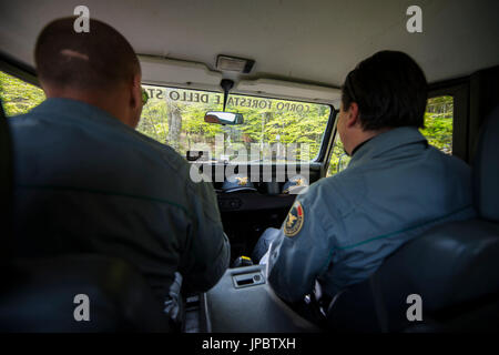 Due rangers nel loro cross-country auto, Foreste Casentinesi NP, Emilia Romagna distretto, Italia Foto Stock