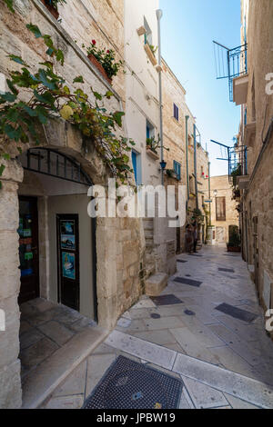 Tipico vicolo e le case del centro storico di Polignano a Mare in provincia di Bari Puglia Italia Europa Foto Stock