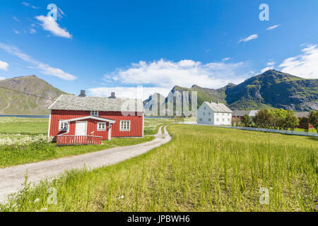 Erba verde e prati telaio le tipiche case chiamato Rorbu nel villaggio di pescatori di Flakstad Isole Lofoten in Norvegia Europa Foto Stock