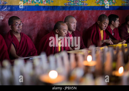 Monastero di Diskit, Valle di Nubra, Ladakh India del Nord, Asia. I monaci in preghiera. Foto Stock