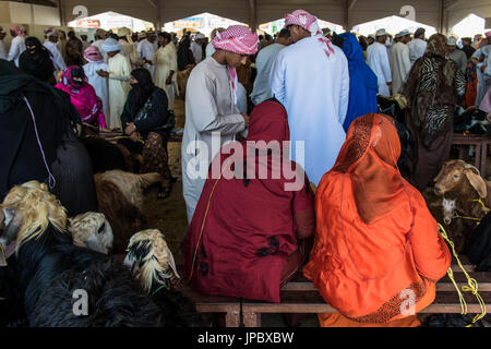 Sinaw, Sultanato di Oman, Midle East. Mercato di animali. Foto Stock