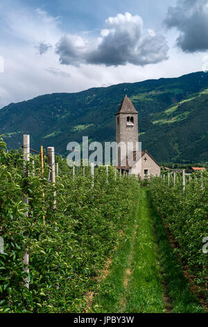 Naturno, Provincia Autonoma di Bolzano Alto Adige - Italia La chiesa Procolo Foto Stock