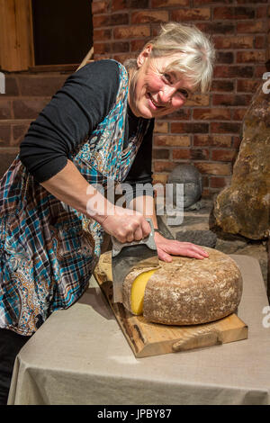 Gardsmat fattoria di formaggio Hitra Isola Trøndelag Norvegia Europa Foto Stock