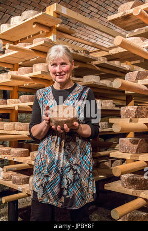 Gardsmat fattoria di formaggio Hitra Isola Trøndelag Norvegia Europa Foto Stock