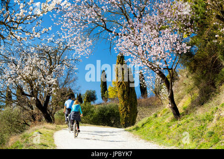 Escursioni in bicicletta sui Colli Euganei, Veneto, Italia Foto Stock