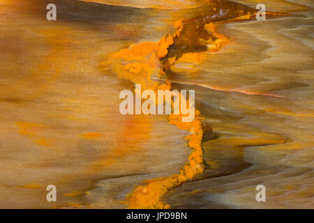 Crabtree Creek legno pietrificato, Oregon Foto Stock