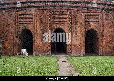 Esterno della terracotta nove moschea a cupola, Bagerhat, Bangladesh Foto Stock