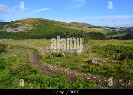 St Cuthberts modo Hethpool,Northumberland Foto Stock