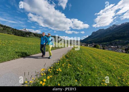 Europa,l'Italia,Trentino,in provincia di Trento,Val di Fassa,Moena distretto,Dolomiti. Passeggiate nelle Dolomiti Foto Stock