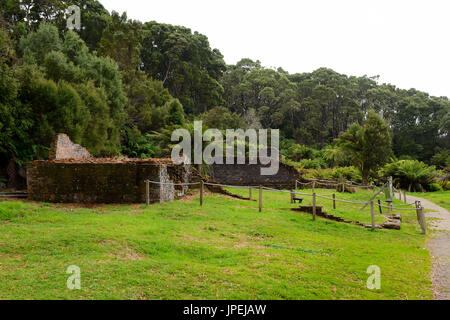 Rovine a Sarah Island historic site (ex carcerato settlement) su Macquarie porto vicino Strahan in western Tasmania, Australia Foto Stock