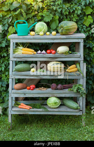 Fresche verdure organiche su una vecchia costruzione in legno all'esterno della scaletta. Giovani freschi ortaggi. Composizione di verdure su scala. Foto Stock