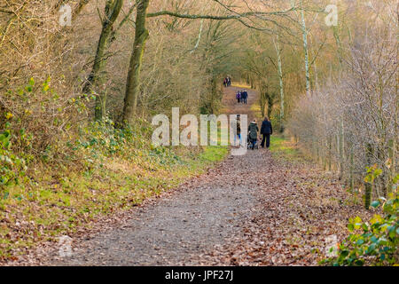 Hainault Country Park, Essex, Regno Unito - 26 dicembre 2016:Famiglia avente una passeggiata invernale nella foresta, su una luminosa giornata di sole. Foto Stock