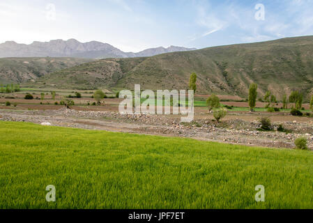 Vista sulle montagne intorno a Badab-e Surt, Iran Foto Stock