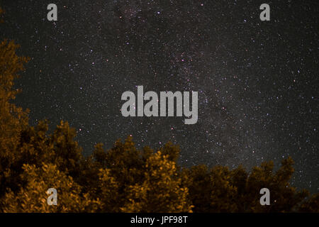 Via lattea di notte , sky e albero di notte Foto Stock