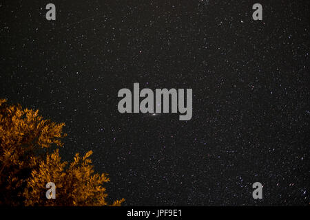 Cielo di notte - paesaggio di notte con il cielo limpido e molte stelle Foto Stock