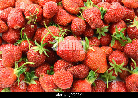 Rosso fresco fragole in pieno frame dello sfondo. Foto Stock