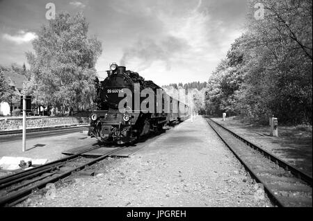 99 6001-4 uscire Alexisbad stazione con un treno per Hasselfelde, Harzer Schmalspurbahnen. Foto Stock