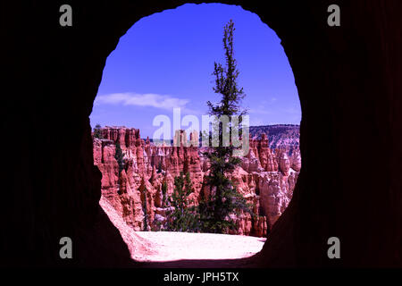 Bryce Canyon può essere meno popolari di vicino a Sion. Ma essa ha la sua bellezza che sion non. Foto Stock