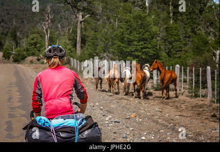 Donna in bicicletta sul telecomando Carretera Austral road nel sud del Cile, il seguente gruppo di cavalli selvaggi in esecuzione di fronte a lei Foto Stock