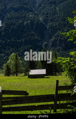 Capanna con retroilluminazione e prato alpino nella valle di Leutasch, Tirolo, Austria Foto Stock