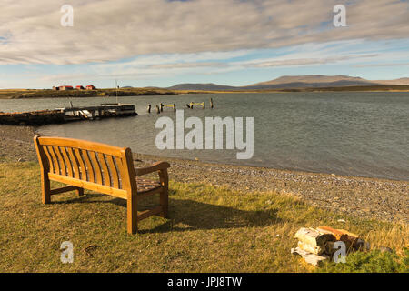 Darwin, Isole Falkland Foto Stock