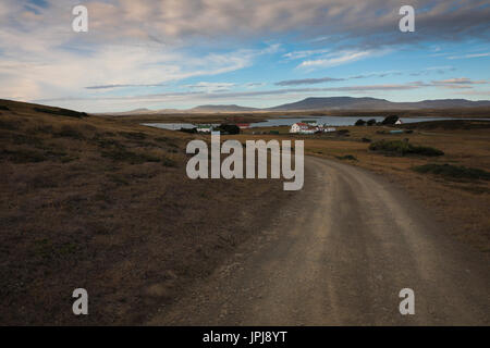 Darwin, Isole Falkland Foto Stock