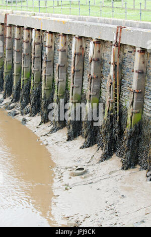 Parte di un vecchio in disuso quay struttura su un estuario del fiume a bassa marea che mostra i materiali di costruzione. Questo è in disuso Fremington Quay, N. Devon UK. Foto Stock