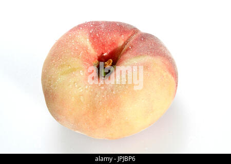 Piatto cinese pesche, vigneto pesche, (Prunus persica var. platycarpa) Foto Stock