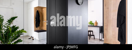 Anticamera con moderni parete specchiata e grande impianto decorativo, panorama Foto Stock