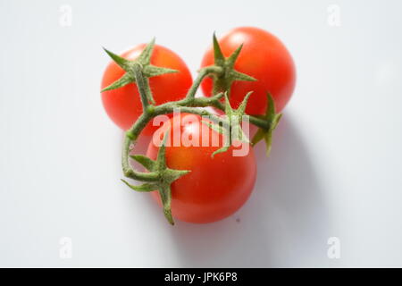 Tre piccoli pomodori ciliegia con ramo verde su sfondo bianco Foto Stock