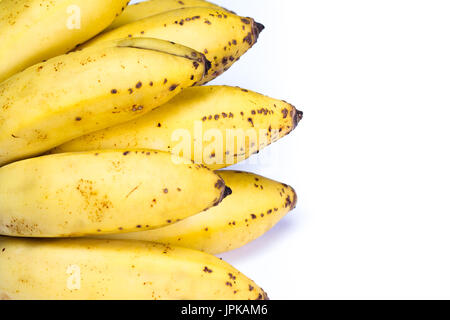 Organici di piccole banane tree maturano con piccole imperfezioni isolato su uno sfondo bianco Foto Stock