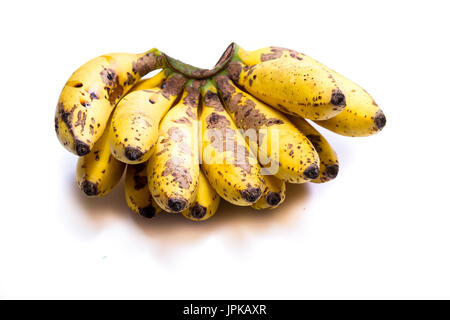 Organici di piccole banane tree maturano con piccole imperfezioni isolato su uno sfondo bianco Foto Stock