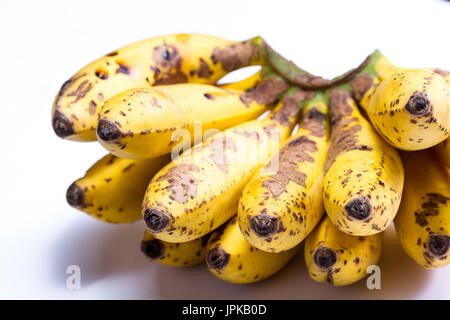 Organici di piccole banane tree maturano con piccole imperfezioni isolato su uno sfondo bianco Foto Stock