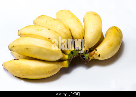 Organici di piccole banane tree maturano con piccole imperfezioni isolato su uno sfondo bianco Foto Stock