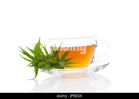 Cannabis-Infused tè in tazza con pianta di cannabis, isolato su sfondo bianco. La marijuana tè alle erbe. La marijuana medica. Foto Stock