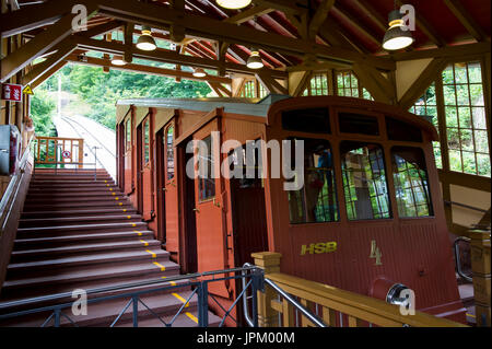 Il castello di Heidelberg noto anche come Schloss Heidelberg è una rovina romantico castello su una collina dal Ponte di collo circondato da giardini rinascimentali. Foto Stock