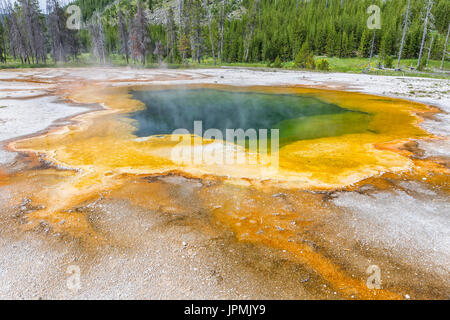 Piscina smeraldo sorgenti calde di sabbia nera bacino nel Parco Nazionale di Yellowstone, Wyoming. Foto Stock