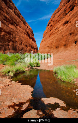 Gola di Walpa nelle cupole di Kata Tjuta dopo una bella pioggia. Foto Stock