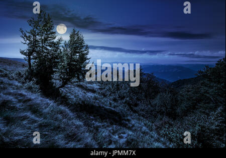 Foresta intorno al prato su un ripido pendio a monte di notte nella luce della luna piena Foto Stock