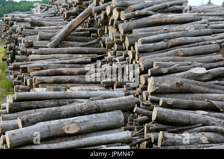 Le scorte di legno vengono impilati sul terreno nell'aria aperta store Foto Stock