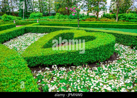 Topiaria da forma di cuore bush in Alice giardino a Tokyo Disneyland Hotel, Urayasu, Chiba, Giappone Foto Stock