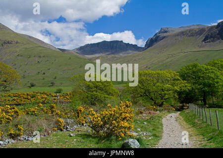 Via attraverso il paesaggio vicino Scafell Pike, Cumbria Foto Stock