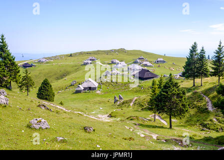 Velika planina altopiano, Slovenia, villaggio di montagna nelle Alpi, case in legno in stile tradizionale, popolare meta di escursioni Foto Stock