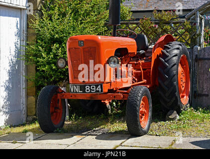 Trattori David Brown. Boulmer, Northumberland, Regno Unito, Europa. Foto Stock