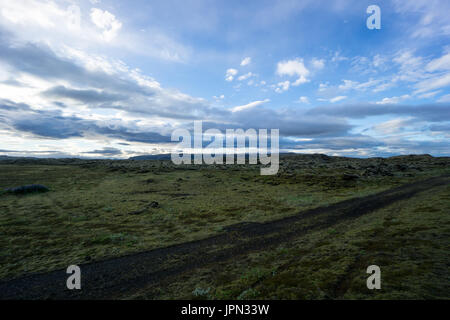 Islanda - Verde muschio coperto campo lavico all'alba Foto Stock