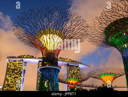 Illuminata super boschetti di alberi nella baia di Giardini anteriore noto anche come giardini dalla baia di notte,bay anteriore,marina bay,Singapore,PRADEEP SUBRAMANIAN Foto Stock