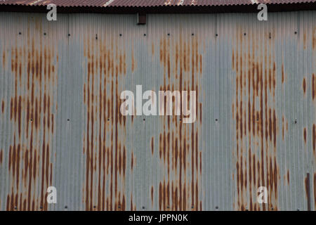 Arrugginiti di metallo ondulato schierata e sul tetto di un edificio. Foto Stock