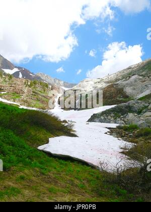 Paesaggio alpino, Capo Bianco canyon, il Sequoia National Park, California, Stati Uniti Foto Stock