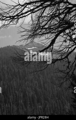 Picco di minerale su King Valley, Sequoia National Park, California Foto Stock